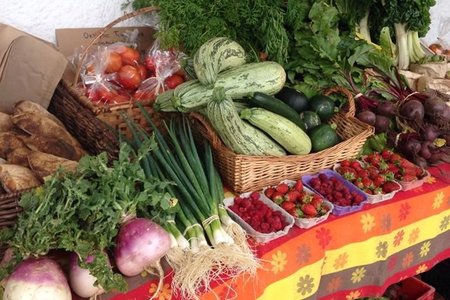 Graze Farmers Market - Wednesday Mornings